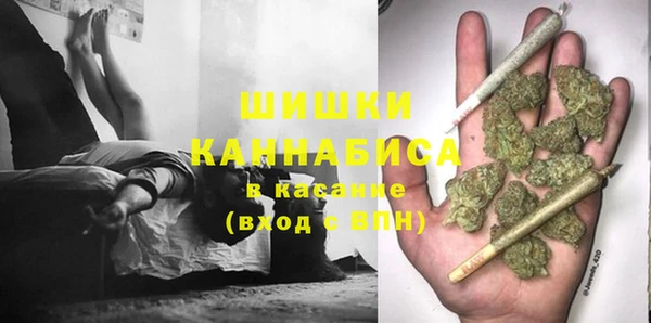 крисы Верхний Тагил