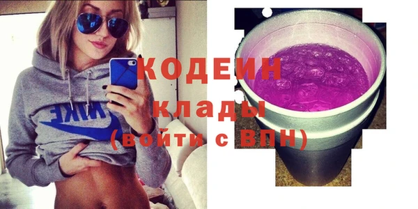 крисы Верхний Тагил