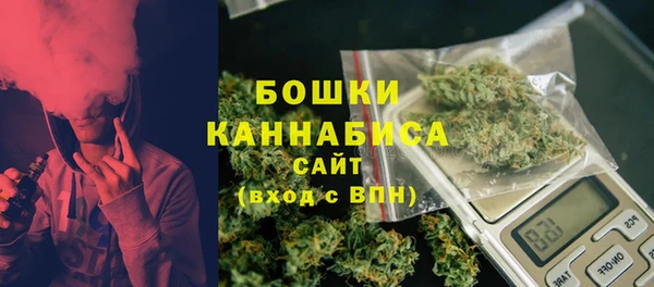 крисы Верхний Тагил