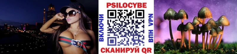 OMG вход  Вольск  Псилоцибиновые грибы прущие грибы 