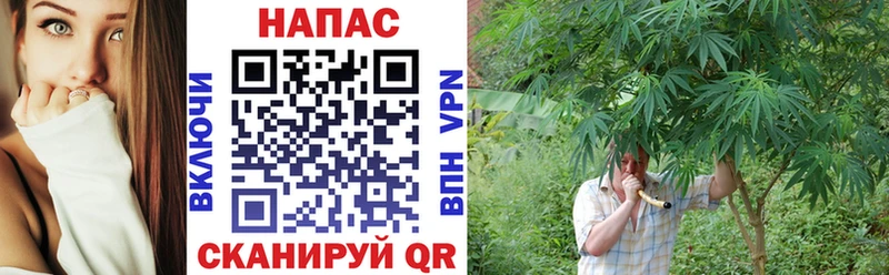 Бошки Шишки SATIVA & INDICA  гидра маркетплейс  Вольск  цены наркотик 